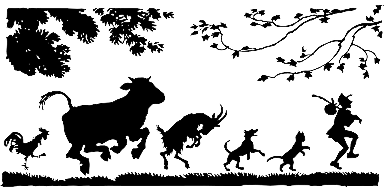 Pukkikuitu Oy:n logokisan yleisöäänestys on alkanut